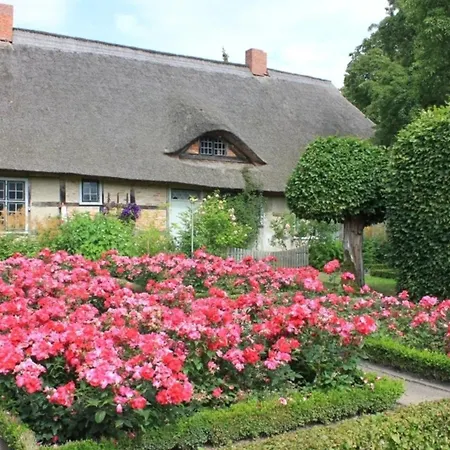 Rosengarten Am Pfarrgarten Starkow Velgast
