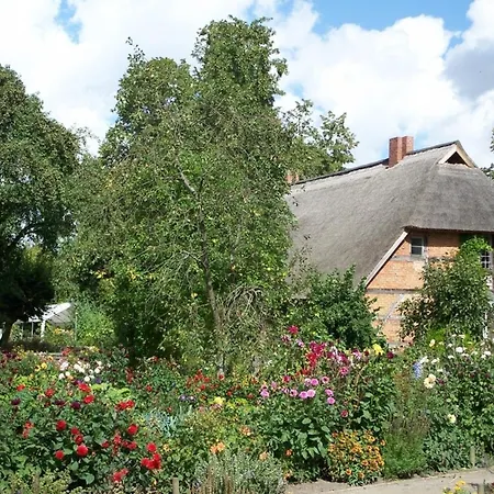 Rosengarten Am Pfarrgarten Starkow Velgast