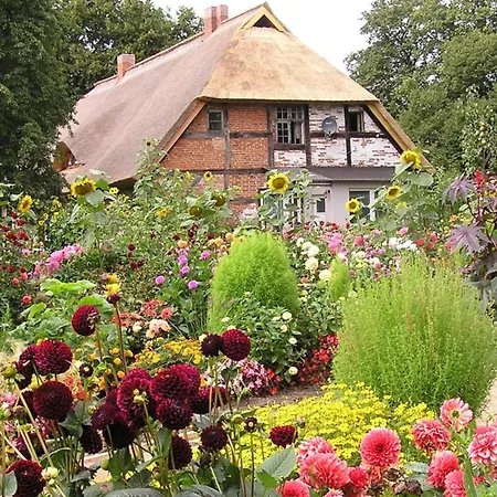 Rosengarten Am Pfarrgarten Starkow Appartamento Velgast