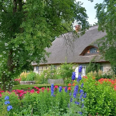 Appartamento Rosengarten Am Pfarrgarten Starkow Velgast