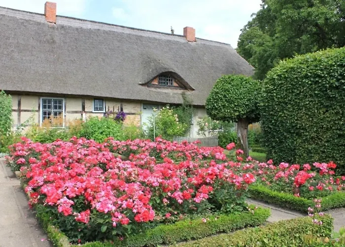 Rosengarten Am Pfarrgarten Starkow Velgast