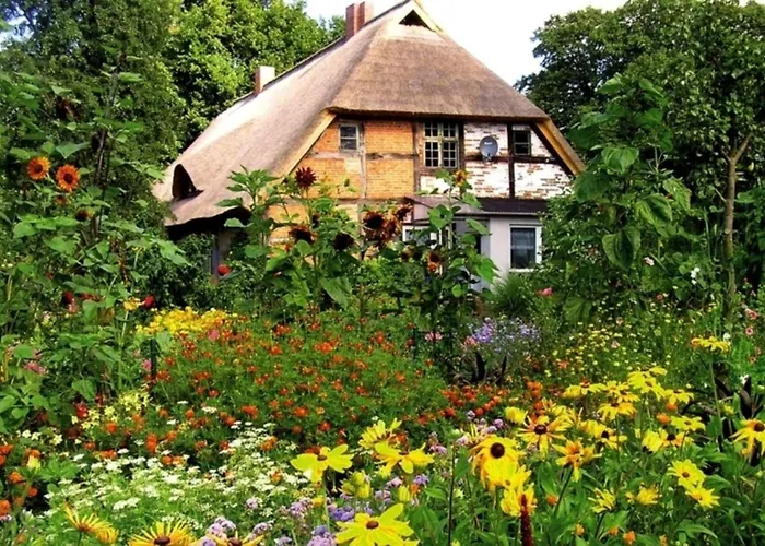 公寓 Rosengarten Am Pfarrgarten Starkow Velgast