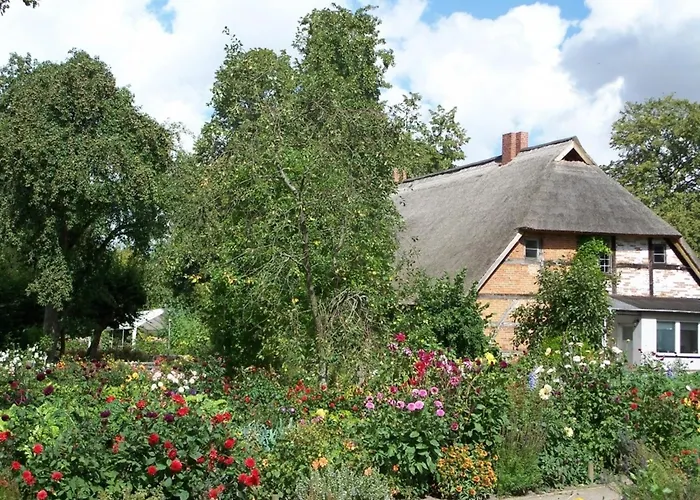Rosengarten Am Pfarrgarten Starkow Velgast